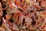 Fiery, Red-Orange Wulfenite Cluster - Kuruktag Mountains, China #361051-1